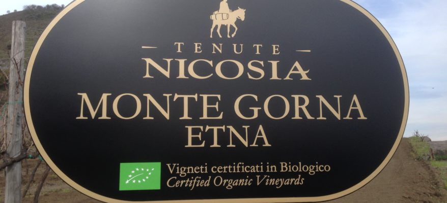 Tenute Nicosia: dall’Etna a Vittoria, la sostenibile strada verso la qualità