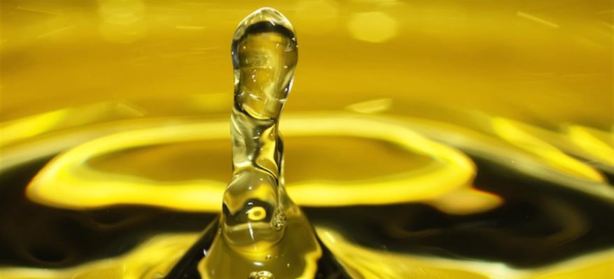 Premio Sirena d’Oro: ecco i migliori oli d’Italia
