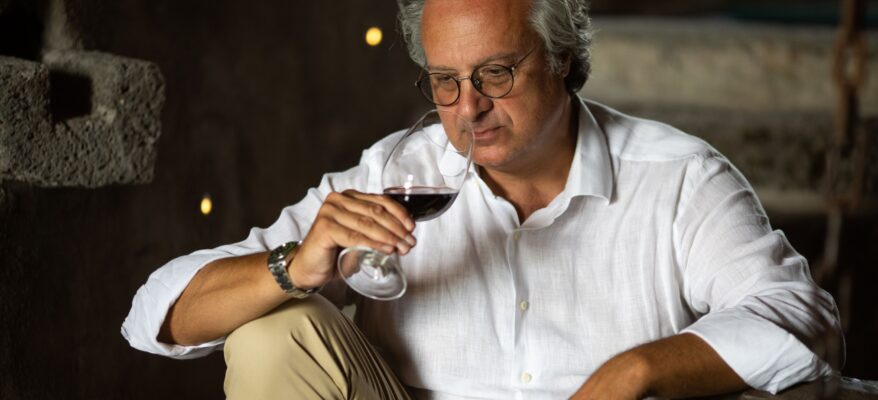 Vendemmia 2023: aspettative di alcune aziende vitivinicole del territorio italiano